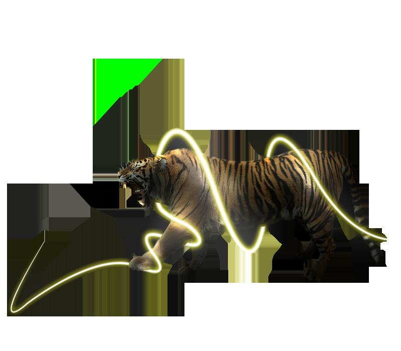 tigre neon